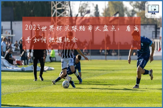 2023世界杯买球赔率大盘点,看高手如何把握机会