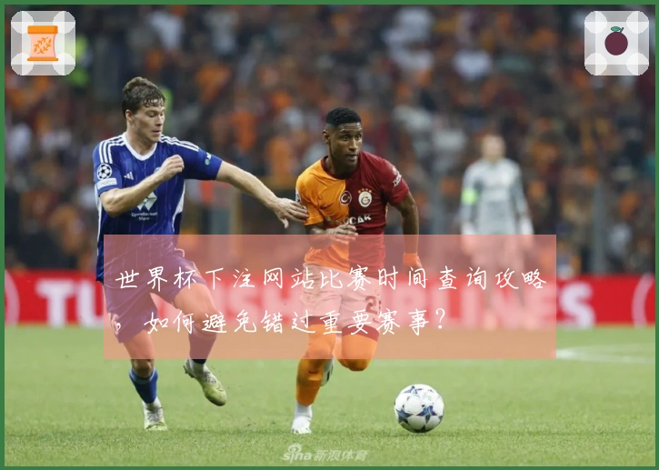 世界杯下注网站比赛时间查询攻略,如何避免错过重要赛事?