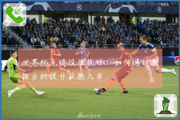 世界杯竞猜投注技巧：如何通过数据分析提升获胜几率