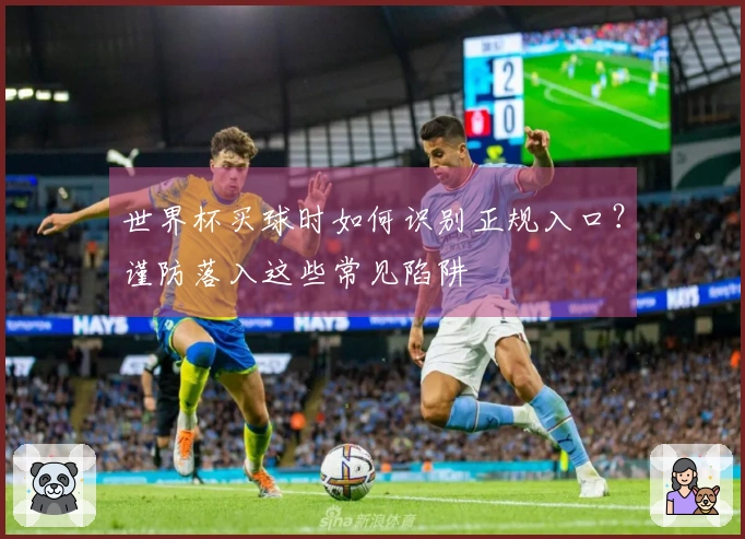 世界杯买球时如何识别正规入口?谨防落入这些常见陷阱