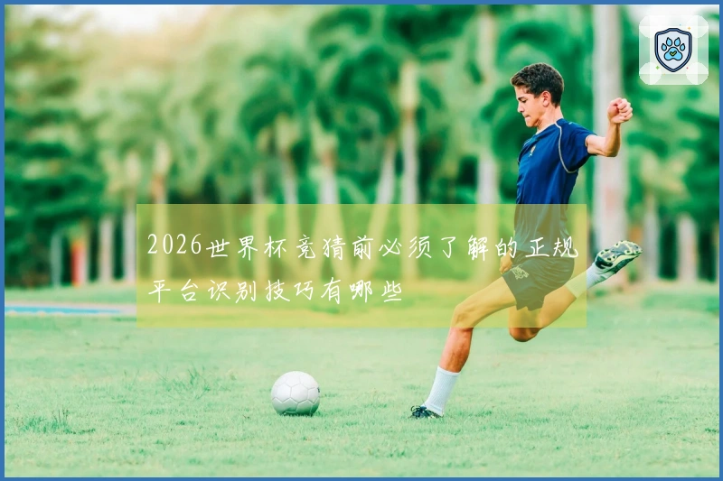 2026世界杯竞猜前必须了解的正规平台识别技巧有哪些
