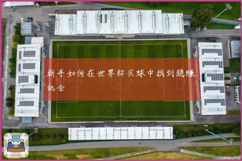 新手如何在世界杯买球中找到稳赚机会