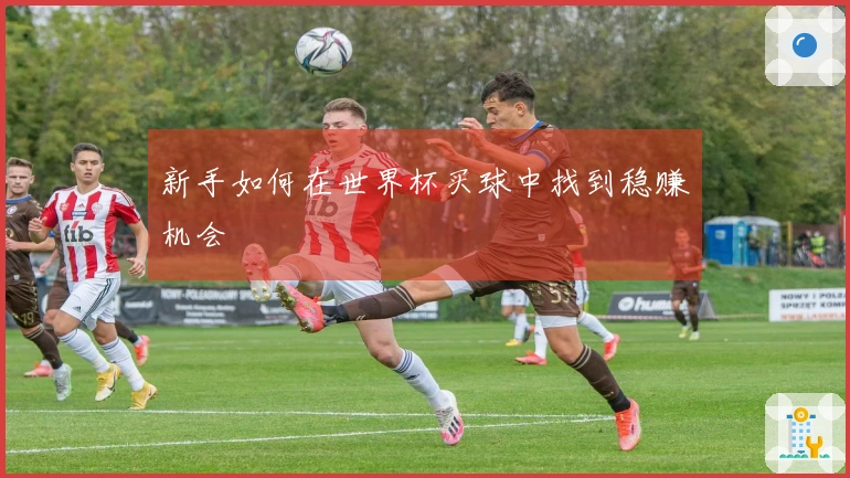 新手如何在世界杯买球中找到稳赚机会